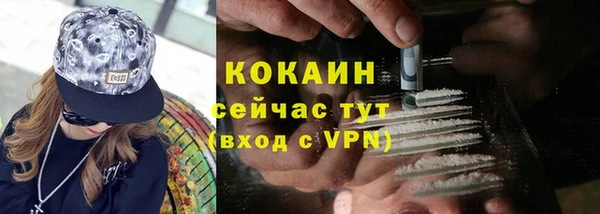 стаф Абинск