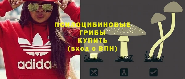 Альфа ПВП Абаза