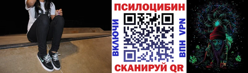 дарнет шоп  Новомичуринск  Псилоцибиновые грибы мицелий 